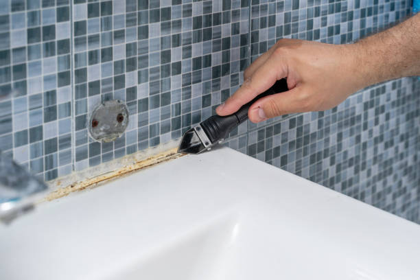 Best Mold Testing and Inspection Services in Wildwood Lake, TN